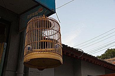 《彩虹六号M》新预告片 谷歌商店预注册现已开启